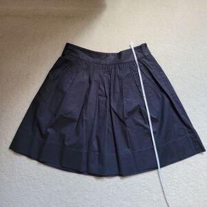 Banana Republic Skirt